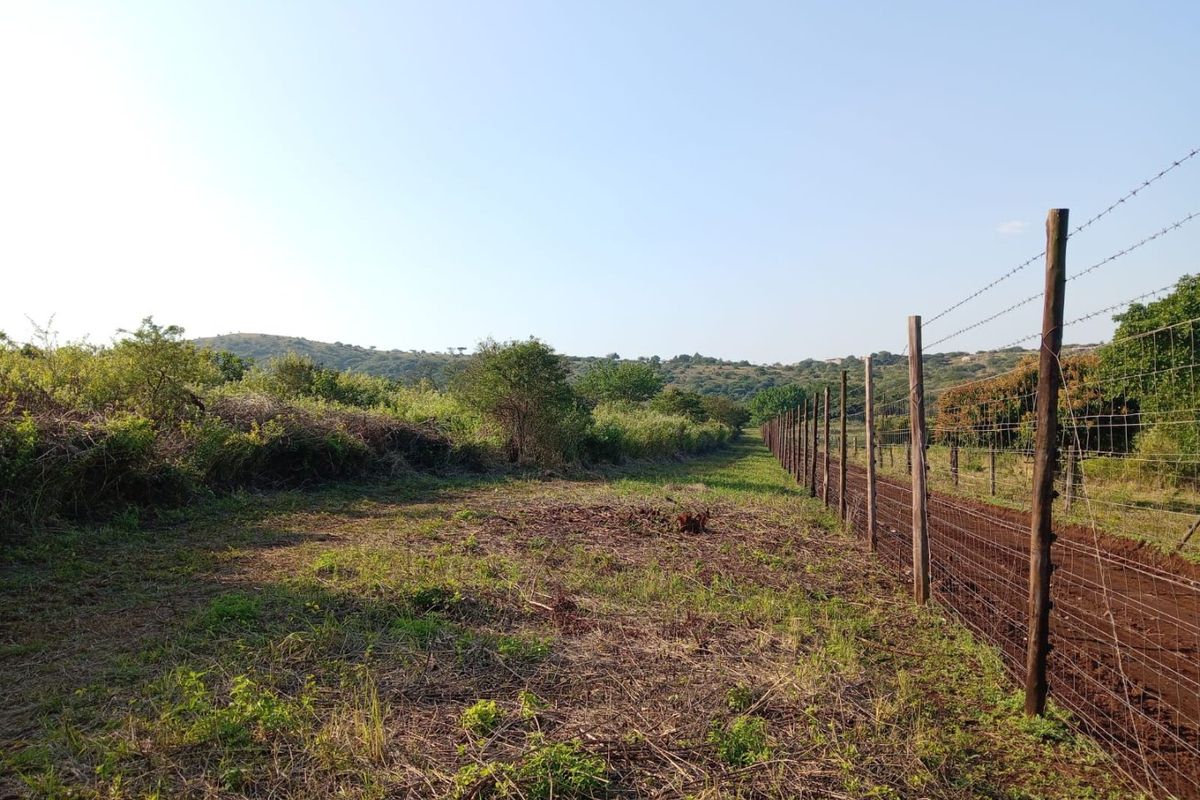A view of the farm perimeter featuring a long stretch of barbed wire fencing with wooden posts bordering the open land.
