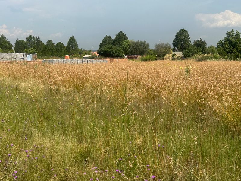 PRIME VACANT LAND - Photo 10