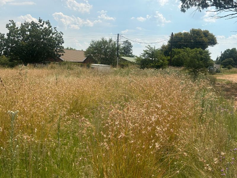 PRIME VACANT LAND - Photo 8