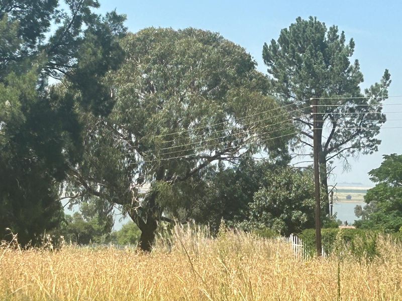 PRIME VACANT LAND - Photo 6