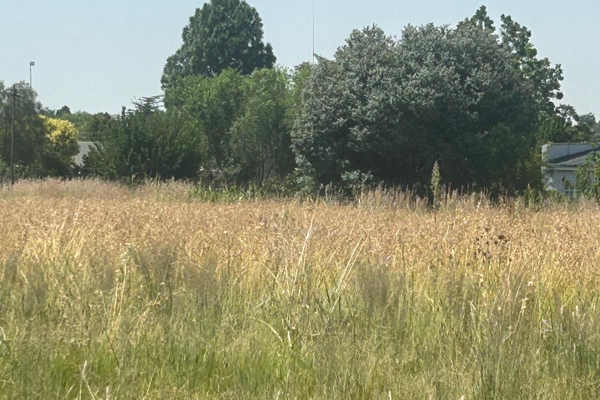 PRIME VACANT LAND - Photo 4