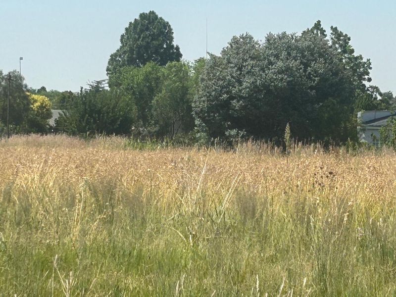 PRIME VACANT LAND - Photo 4