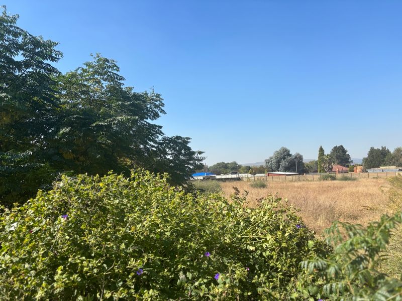 INVESTOR DREAM  VACANT LAND IN DALESIDE MEYERTON - Photo 7