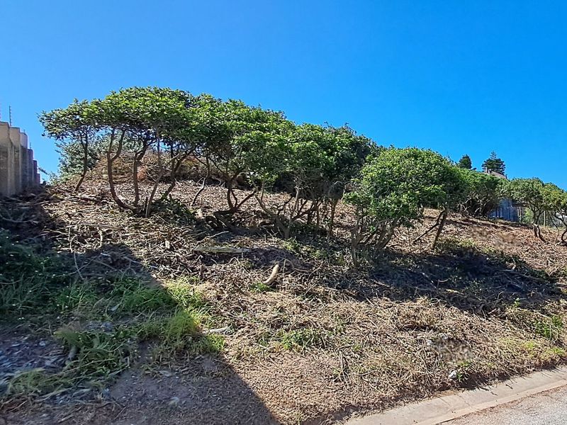 Peaceful Ocean Living  - Photo 6