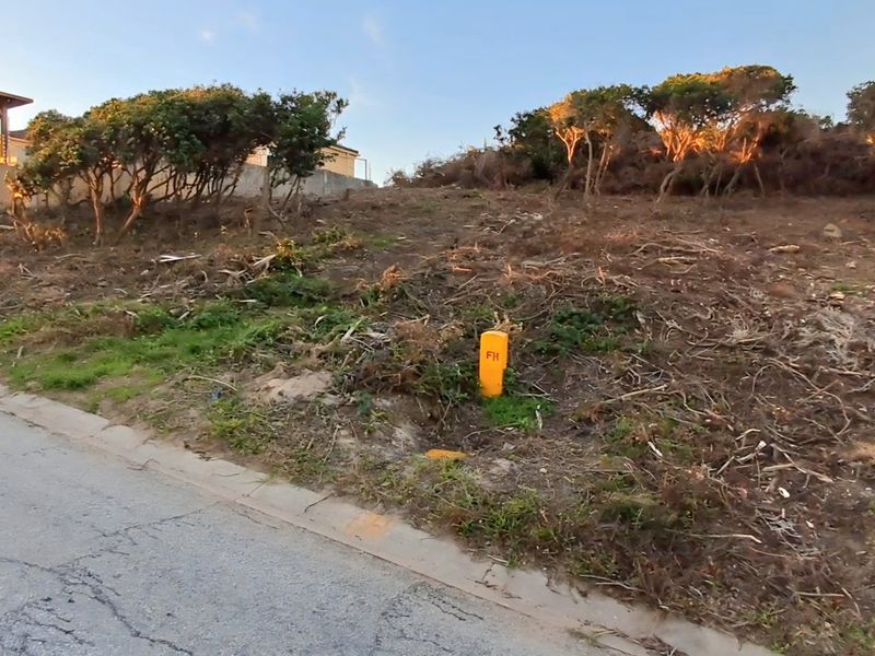 Peaceful Ocean Living  - Photo 5