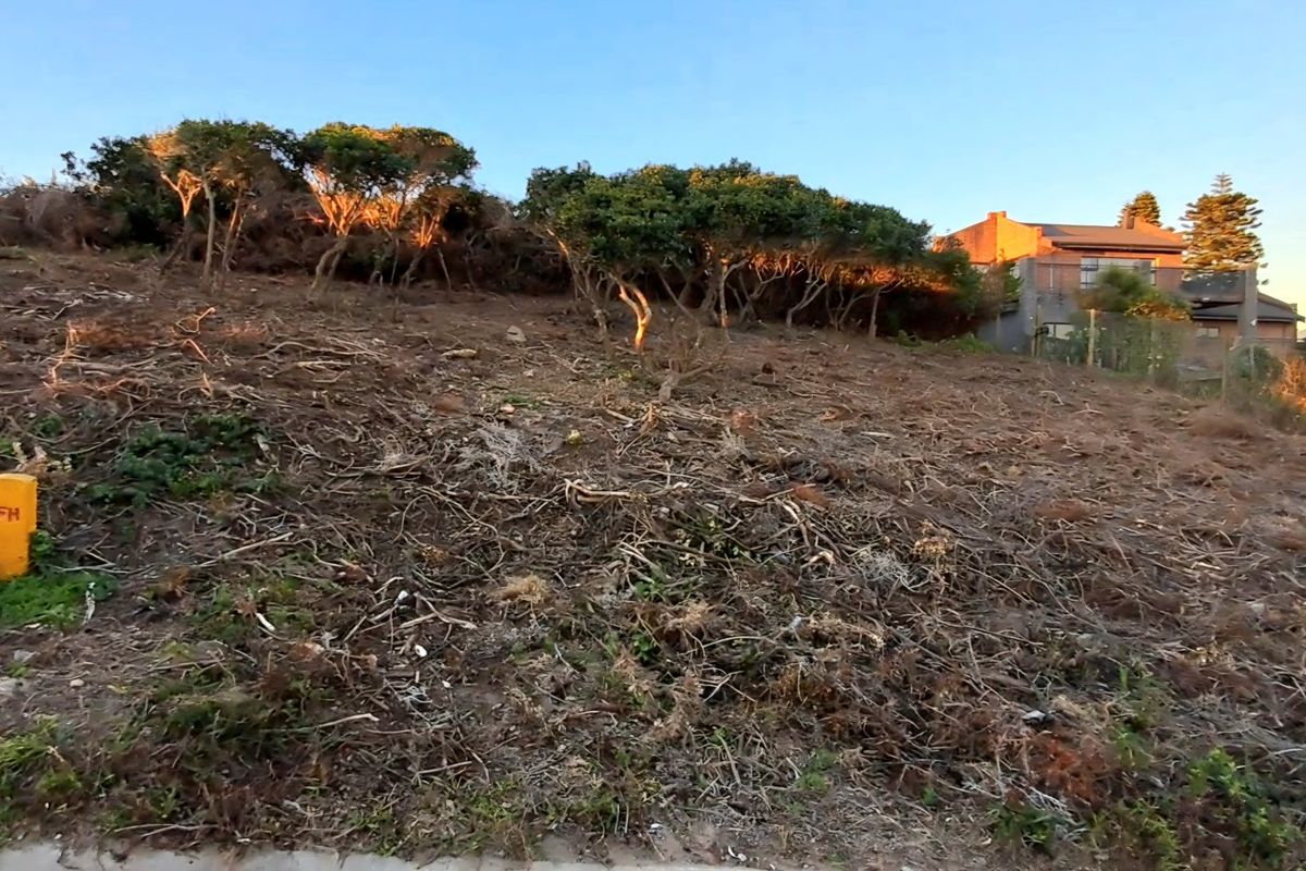 Peaceful Ocean Living  - Photo 4