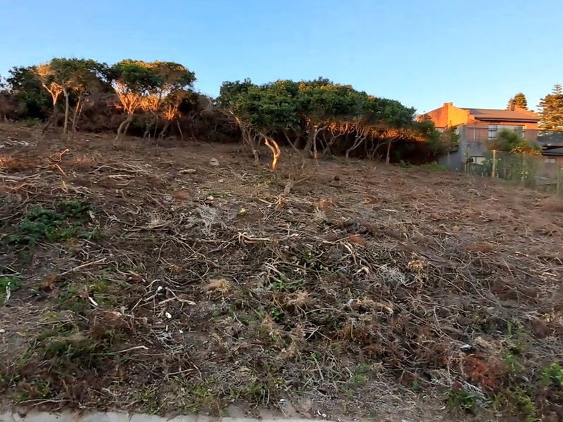 Peaceful Ocean Living  - Photo 4