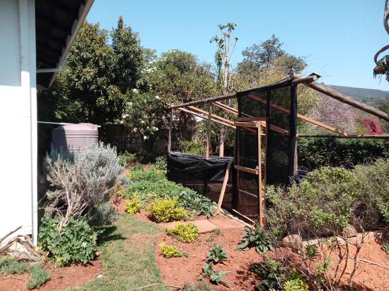 Hidden Gem, Great Potential, Well Maintained Family Home with Rental Income Generation- Boyd Road, Prestbury, Pietermaritzburg - Photo 8