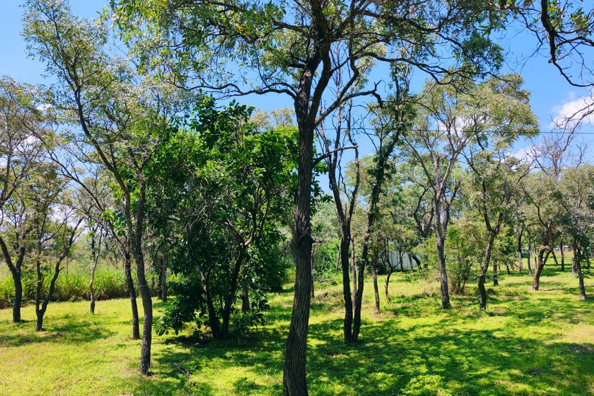 House for sale in Vaalwater - Photo 3