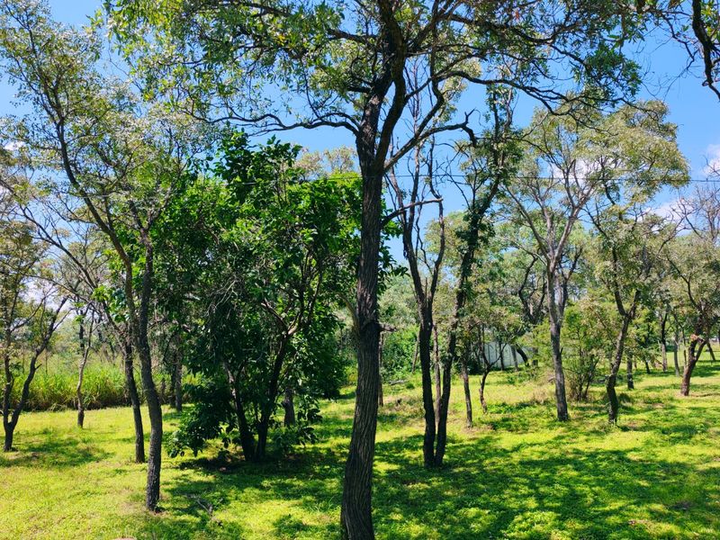 House for sale in Vaalwater - Photo 3