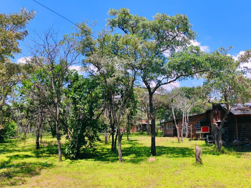 House for sale in Vaalwater - Photo 7