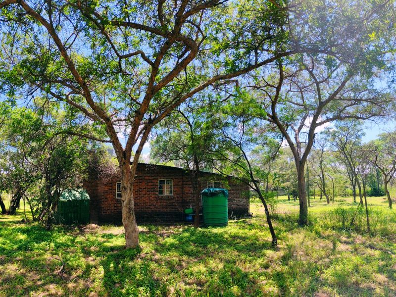 House for sale in Vaalwater - Photo 5