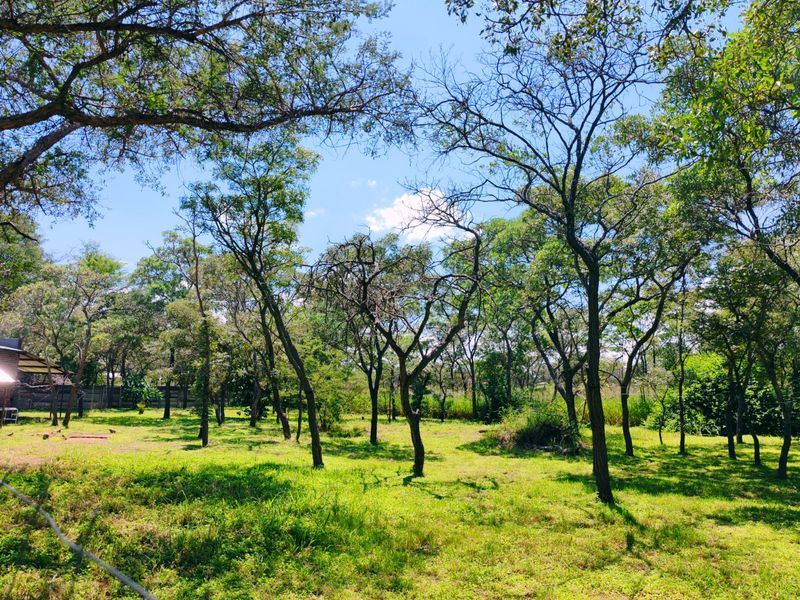 House for sale in Vaalwater - Photo 6