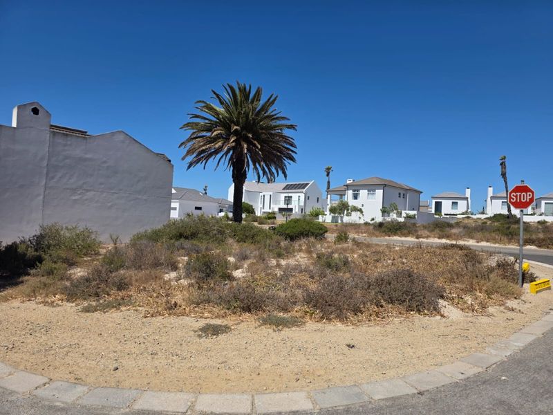 A street-level view of a residential neighborhood featuring paved roads, established landscaping, and houses with solar panel installations.