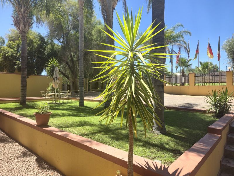 A well-maintained commercial garden area featuring a central yucca plant, manicured lawn, retaining walls, and a paved driveway with perimeter fencing.