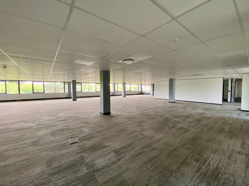 P-Grade Office Space Available In Irene - Photo 10