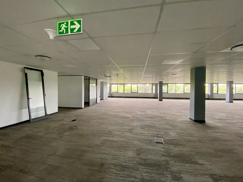 P-Grade Office Space Available In Irene - Photo 8