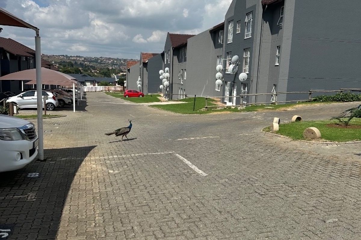 2 bedroom  Apartment for sale in Allan Manor, Mondeor - Photo 2