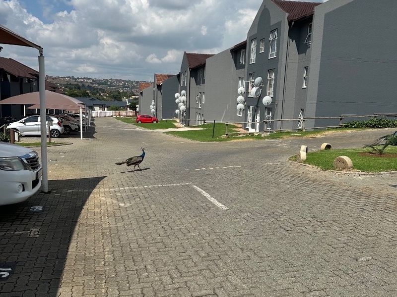 2 bedroom  Apartment for sale in Allan Manor, Mondeor - Photo 2