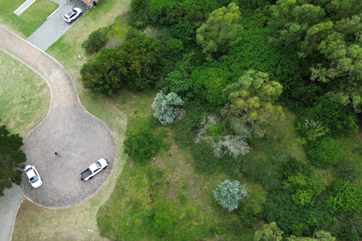 Aerial view of a residential plot featuring a paved circular driveway and established natural vegetation.