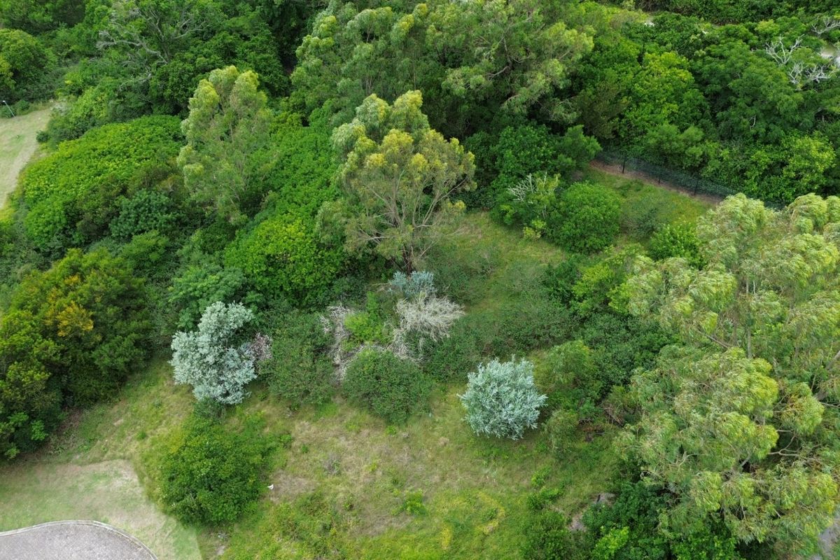 An aerial view of a vacant residential plot featuring dense mature trees, established vegetation, and natural grassland terrain.