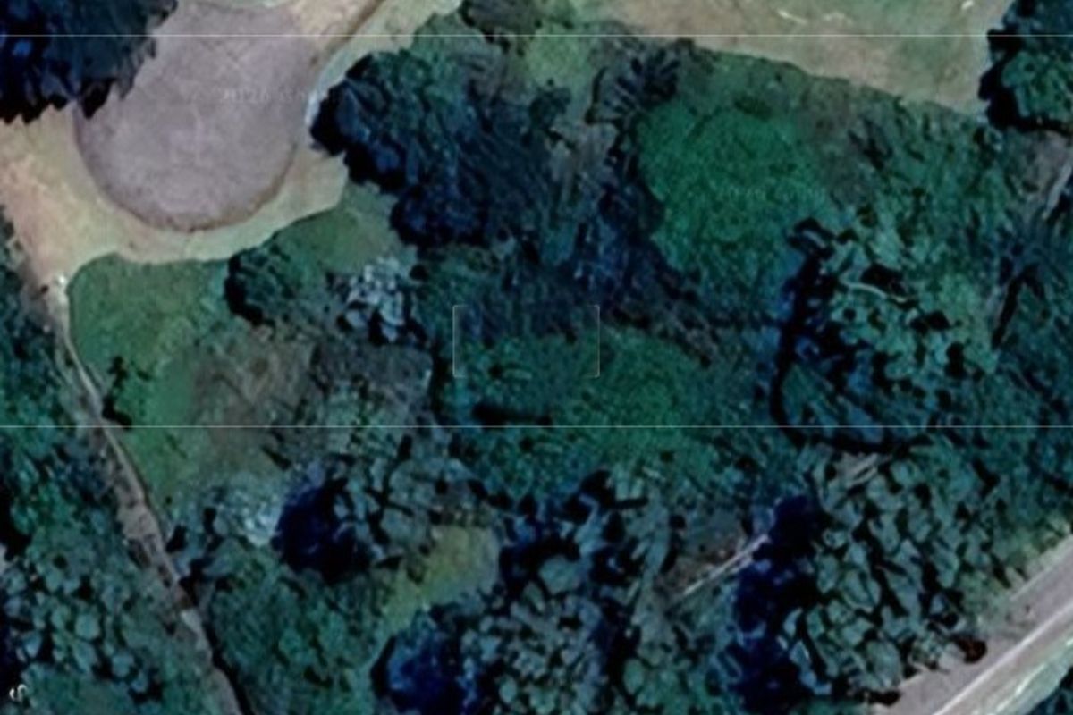 An aerial view of a vacant residential plot featuring dense vegetation and proximity to local road infrastructure.