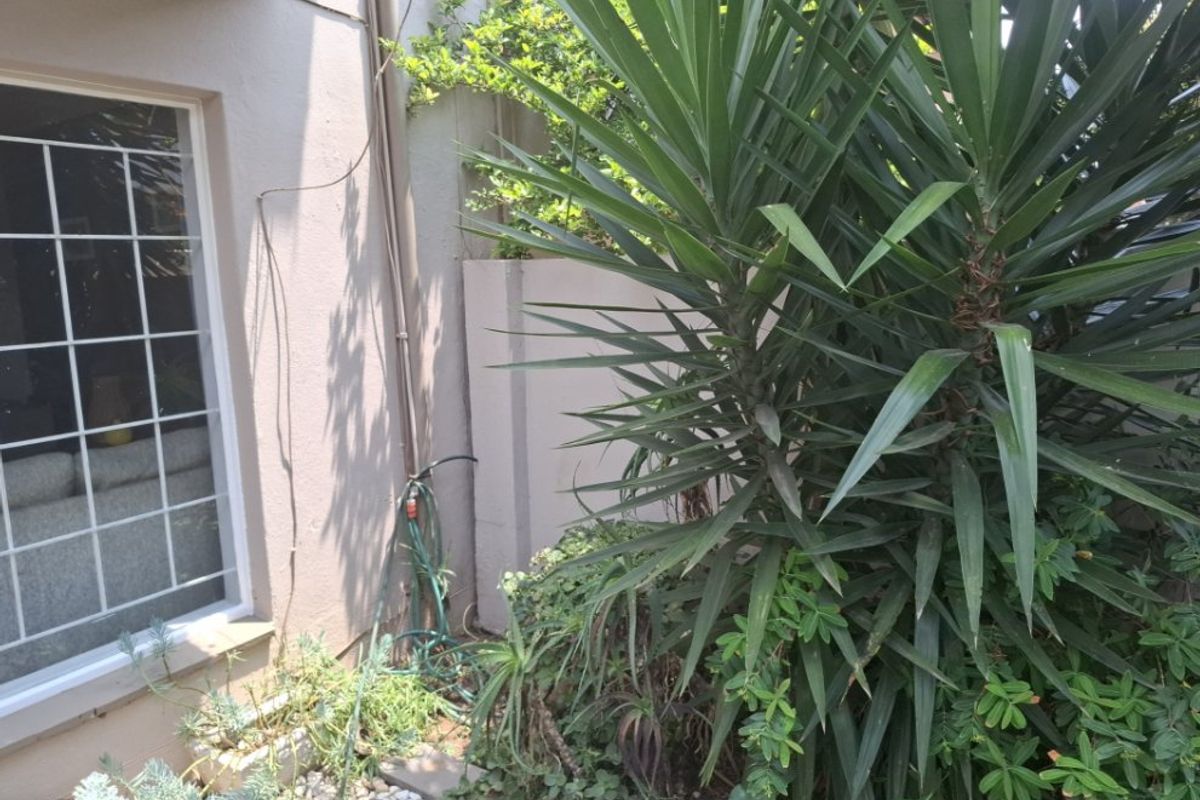 A view of the rear exterior area featuring a security-barred window, boundary wall, and established garden landscaping.