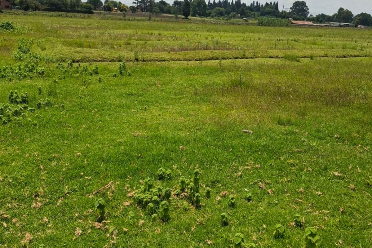 A wide, open residential plot featuring expansive green grass and natural landscape, suitable for future development.