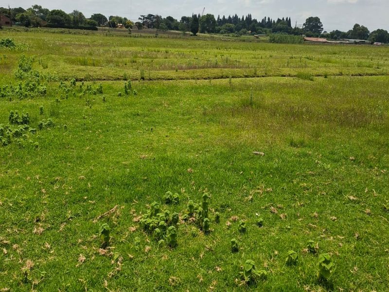 A wide, open residential plot featuring expansive green grass and natural landscape, suitable for future development.