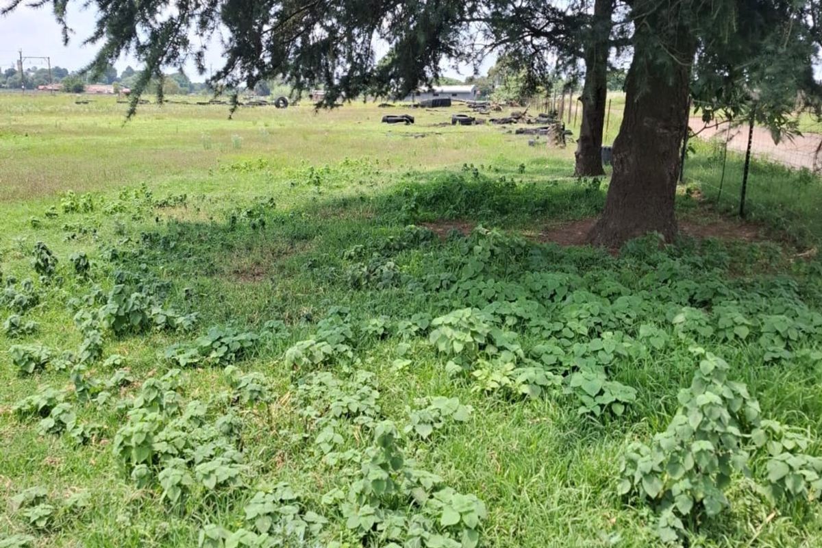 A view of a vacant residential plot featuring mature trees and natural grassland vegetation.