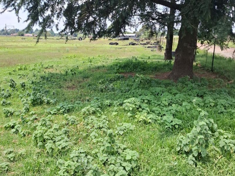 A view of a vacant residential plot featuring mature trees and natural grassland vegetation.
