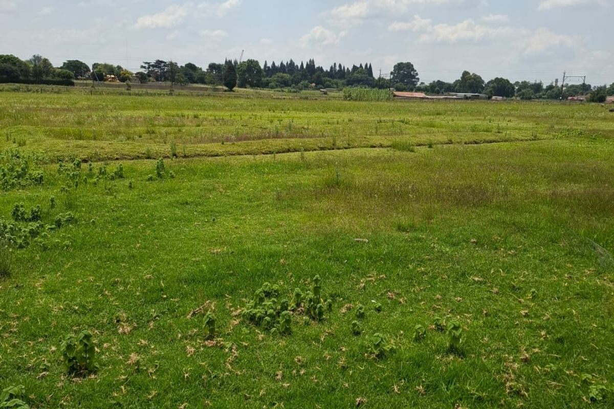 A wide, open expanse of vacant residential land featuring natural grass coverage and a clear view of the surrounding landscape.