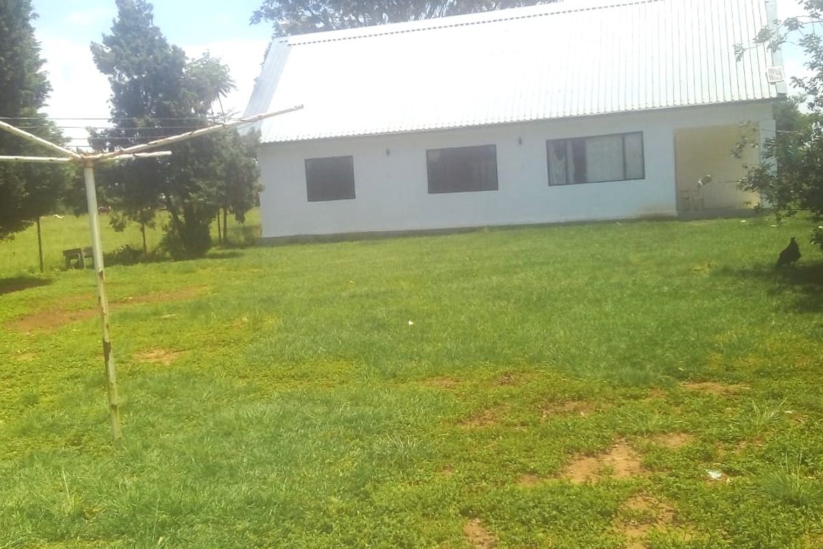 Rear view of a farm property featuring a white building with a corrugated metal roof, a covered patio area, and a large surrounding lawn.