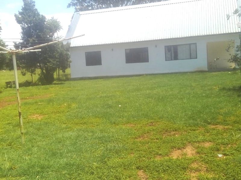 Rear view of a farm property featuring a white building with a corrugated metal roof, a covered patio area, and a large surrounding lawn.