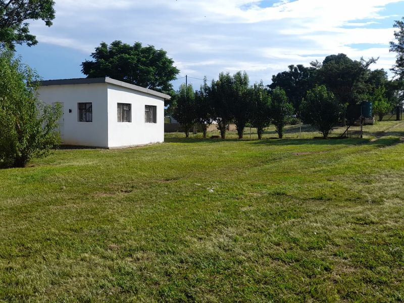 A view of a small white outbuilding situated on a large, open grassy farm plot with mature trees in the background.