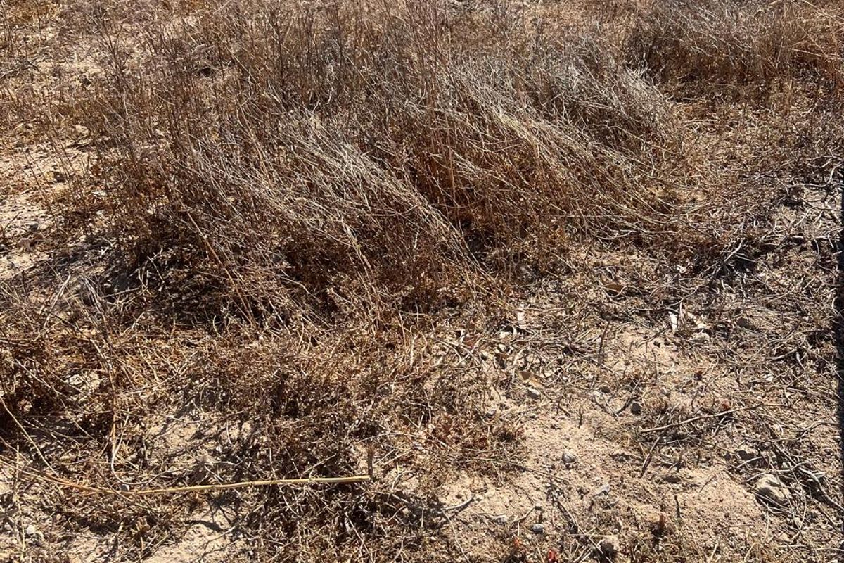 VACANT LAND FOR SALE IN KAPTEINS KLOOF ST HELENA BAY - Photo 5