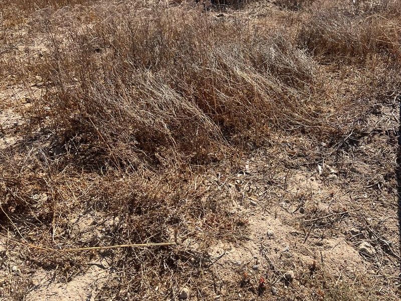 VACANT LAND FOR SALE IN KAPTEINS KLOOF ST HELENA BAY - Photo 5