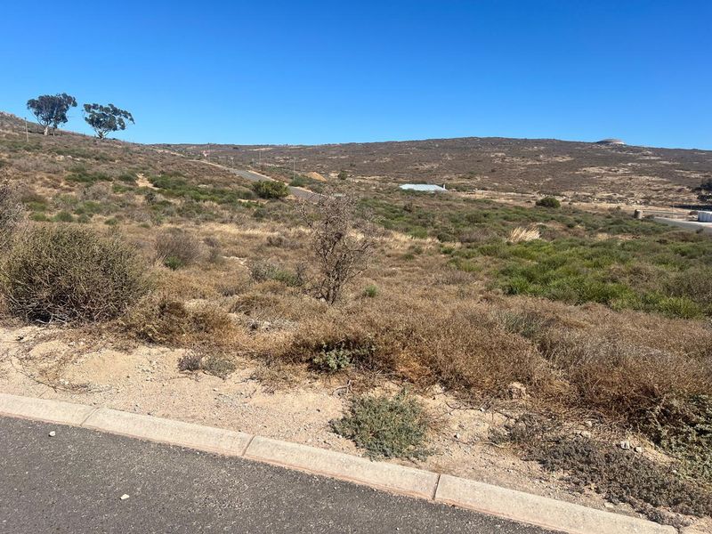 A view of a vacant residential plot featuring natural vegetation, accessible from a paved road with concrete curbing.