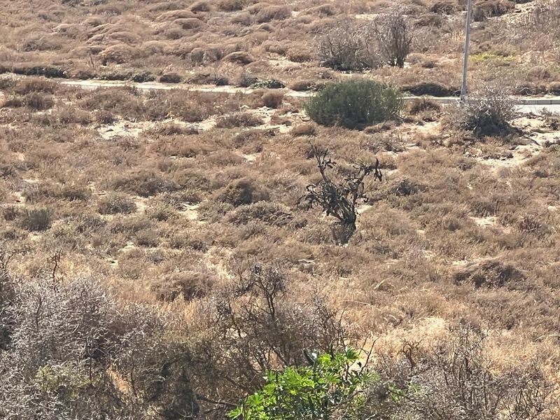 An elevated view of a vacant residential plot featuring dry, natural vegetation and scrubland.