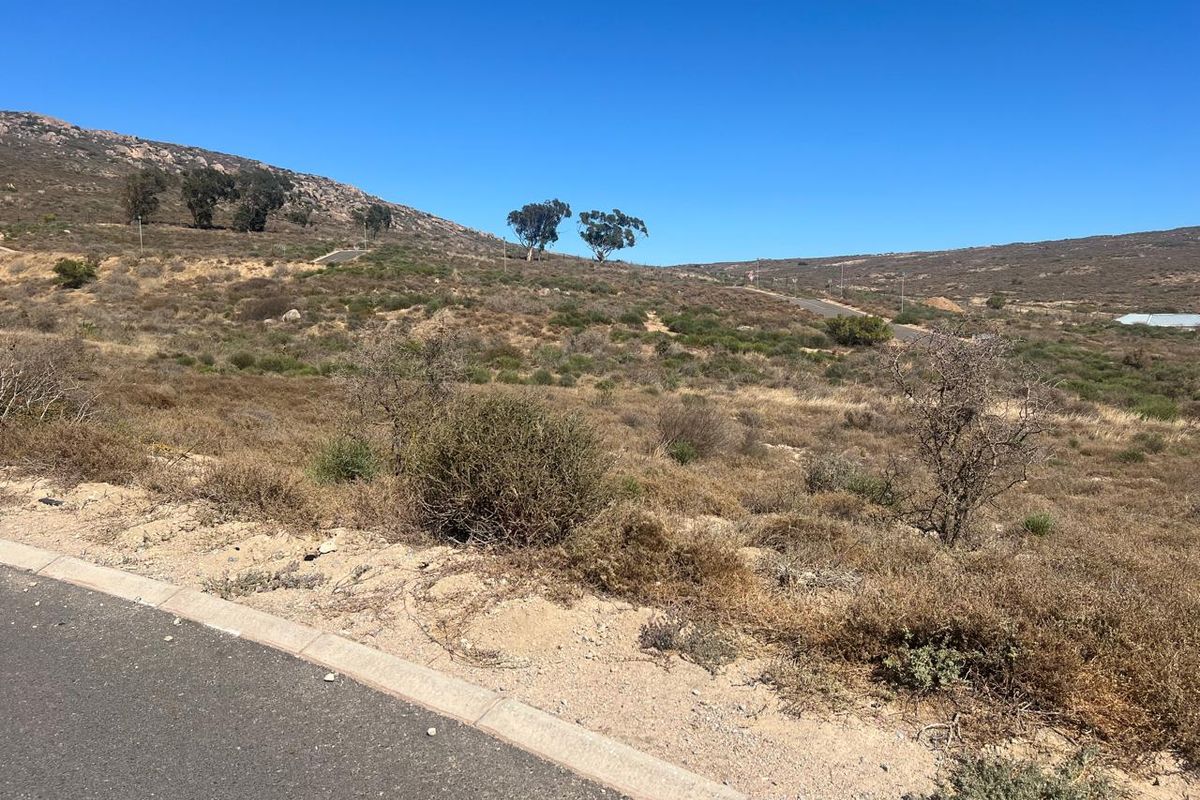 A view of a vacant residential plot featuring natural landscape, native vegetation, and access to an established asphalt road with concrete curbing.