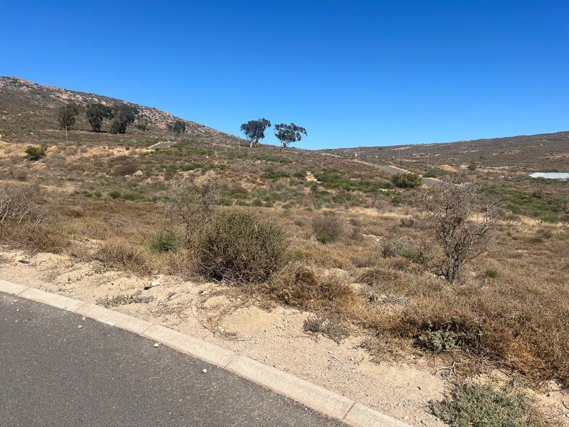 A view of a vacant residential plot featuring natural landscape, native vegetation, and access to an established asphalt road with concrete curbing.