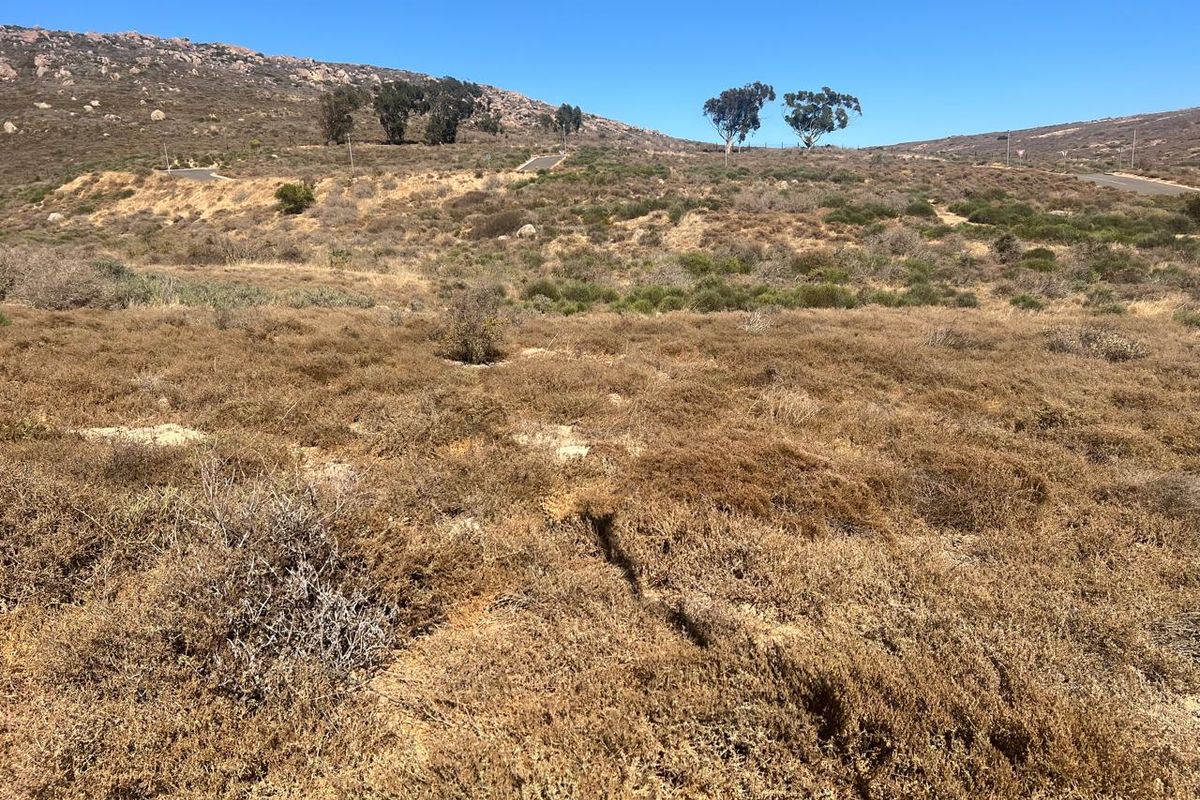 VACANT LAND FOR SALE IN KAPTEINS KLOOF ST HELENA BAY - Photo 4