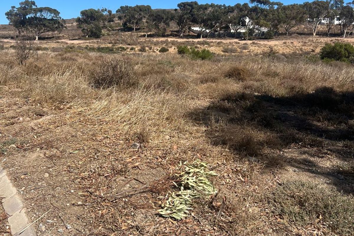 VACANT LAND FOR SALE IN KAPTEINS KLOOF ST HELENA BAY - Photo 5