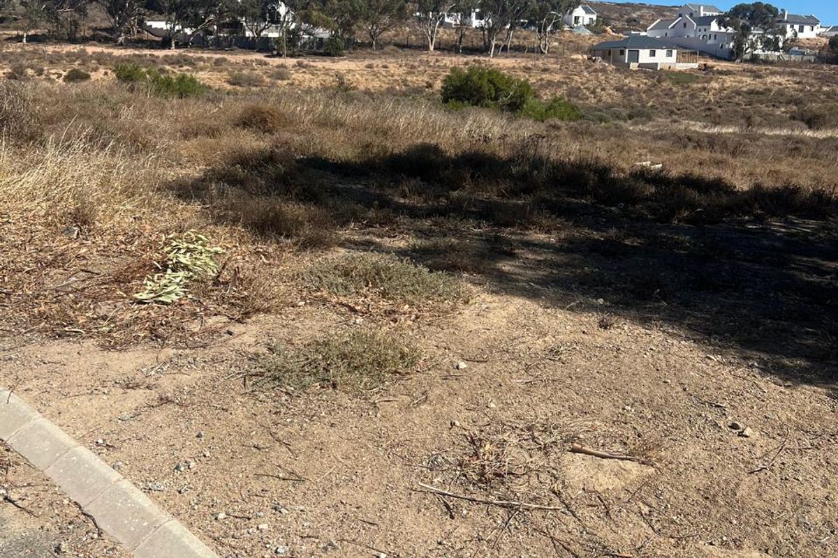 A view of a vacant residential plot from the street, featuring natural vegetation and concrete curbing along the road edge.