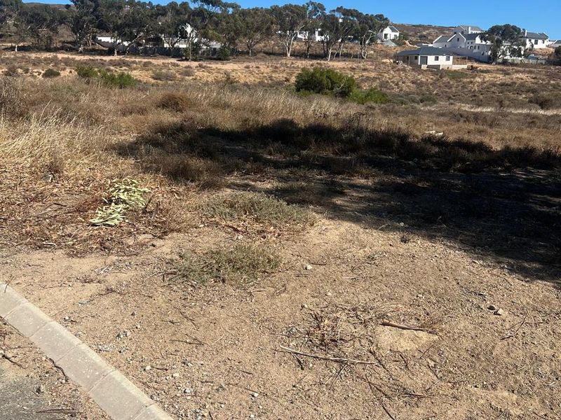 A view of a vacant residential plot from the street, featuring natural vegetation and concrete curbing along the road edge.