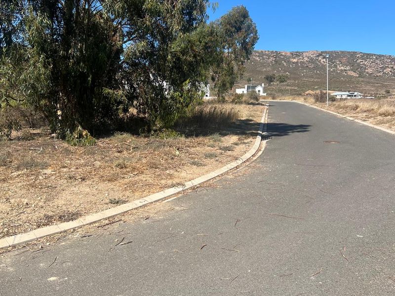 A view of the paved residential street and curbing, showing the approach to the vacant land plot with surrounding landscape.