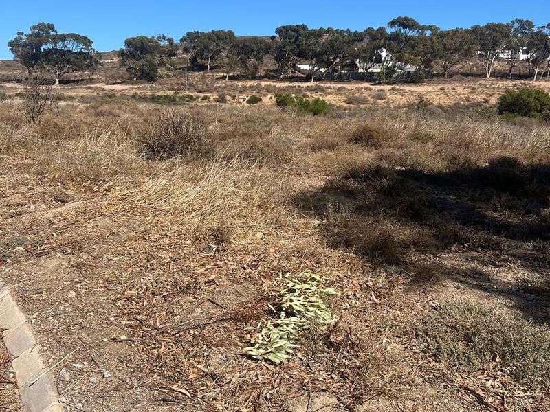 A vacant residential plot featuring natural vegetation, dry grass, and concrete kerbing along the boundary, offering a clear view of the surrounding landscape.