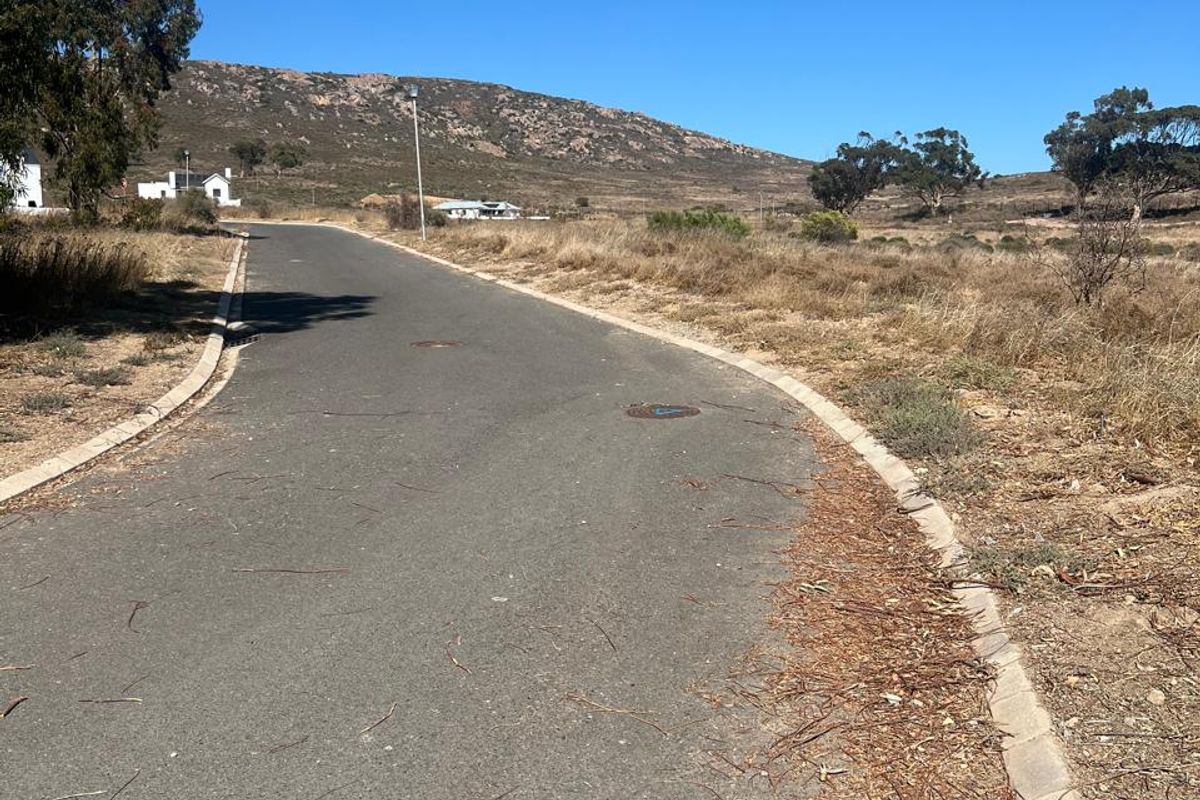 A view of the paved access road and curbing leading through the residential land area with surrounding natural landscape.
