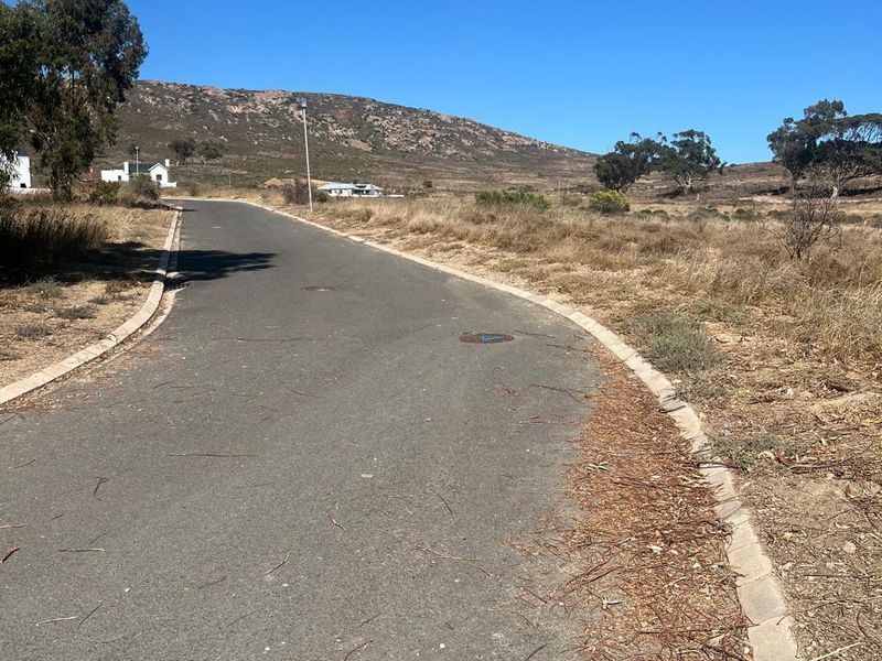 A view of the paved access road and curbing leading through the residential land area with surrounding natural landscape.