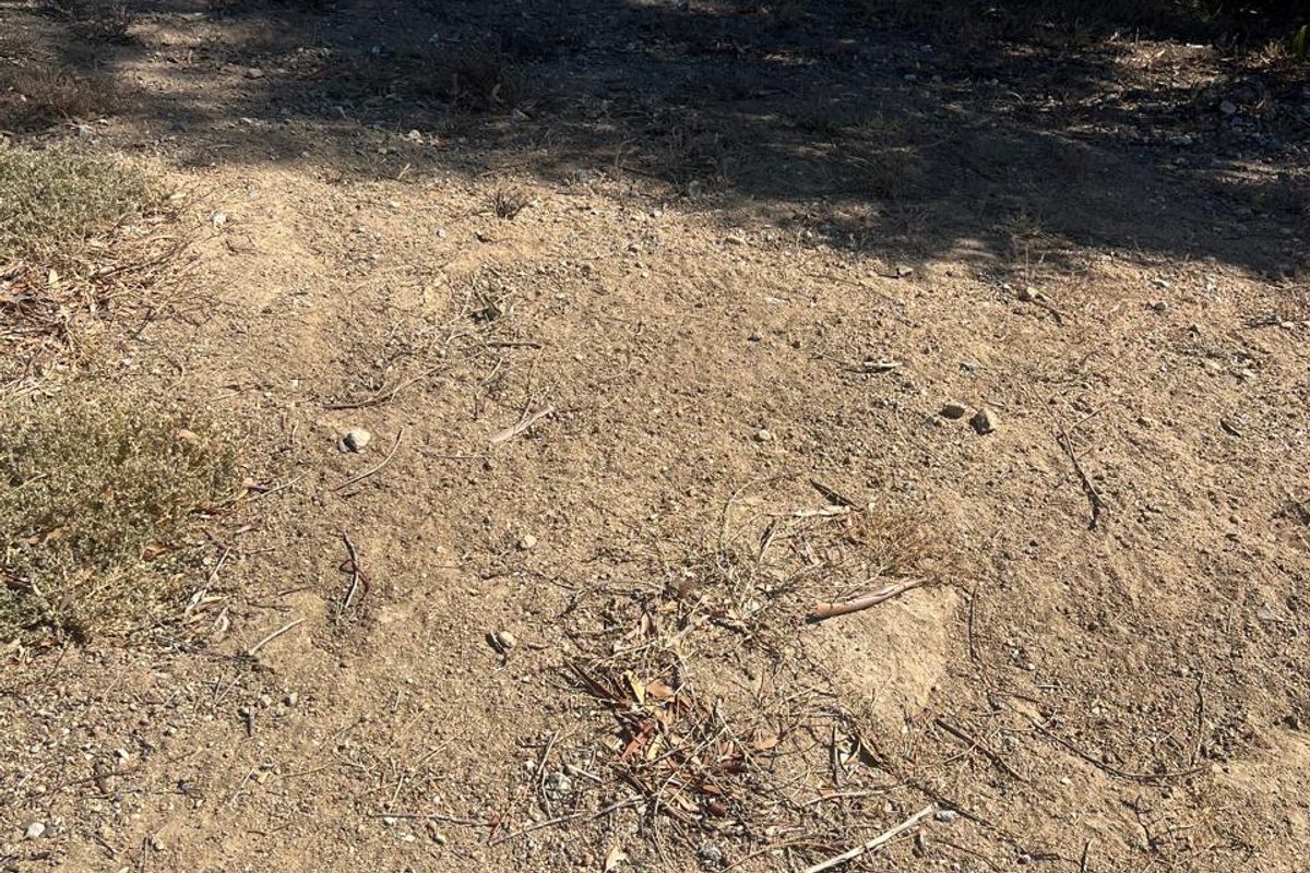 A view of the vacant residential land featuring natural soil and native vegetation.